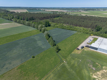Działka Sprzedaż Ostrolesie