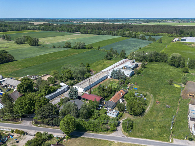 Działka Sprzedaż Ostrolesie 19